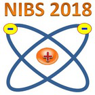 The 6th International symposium on Negative Ions, Beams and Sources (NIBS'18)
